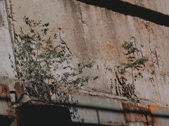 -龙美术馆(西岸馆)