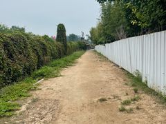 -呀路古热带植物园