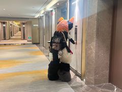 -成都世纪城假日酒店-西楼