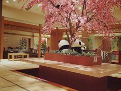 -大江户·温泉洗浴(浑南店)