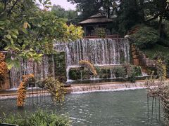 -成飞公园