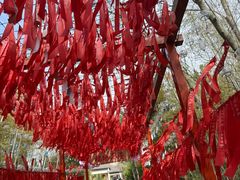 -游子山休闲旅游区