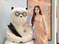 -长风拨筋养身(金虹桥店)