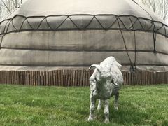 -九十九顶毡房(阜石路店)