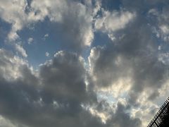 -福道