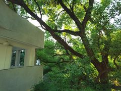 -湖北美术学院(昙华林校区)