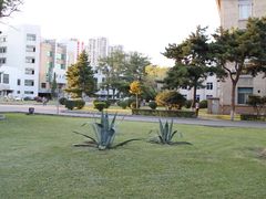 -辽宁大学(崇山校区)