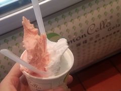 -柠檬车露(卖草地店)
