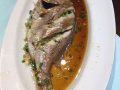 -高佳庄·舟山海鲜(海景旗舰店)