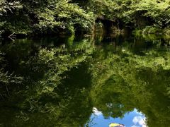 -石台牯牛降景区