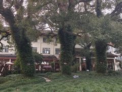 -普陀山雷迪森庄园
