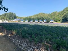 -紫海香堤香草艺术庄园