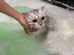 -乐宠宠物店(世纪金源店)