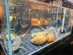 -璞御·海鲜·雪花牛肉局(宾水西道店)