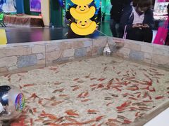 -常州海昌海洋探索馆