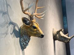 -ZOO COFFEE动物园咖啡(望京锐创店)