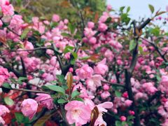 -江南大学(蠡湖校区)