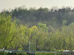 -南翠屏公园