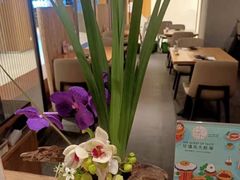 -Hatsune隐泉日式料理(SKP店)