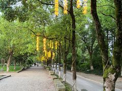 -慈城古县城景区