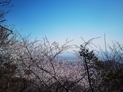 -香山公园