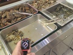 -红星渔村(将军石店)