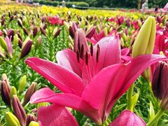 -长春公园(普阳街道)