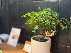 -CURRY YA 熟成咖哩專門店(深圳湾万象城店)