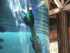 -凤凰轩·尾牙宴·生日宴(十里银滩店)