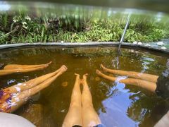 -碧桂园润杨溪谷温泉酒店