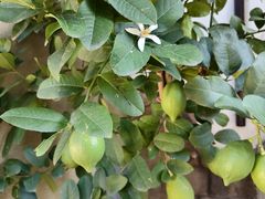 -青岛遇见米兰(八大关店)