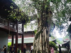 -南华禅寺