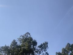 -陶祖圣境风景区