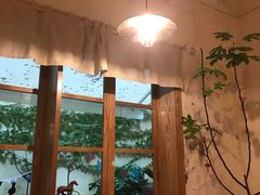 -懒鱼时光馆(沙坪坝店)
