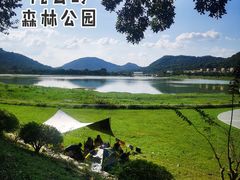 -风云岭森林公园