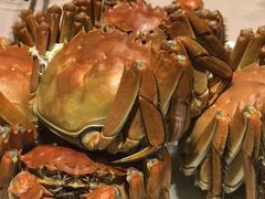 -王宝和酒家(黄浦店)