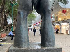 -九龙公园