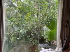 -泉眼温泉