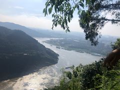 -铁山坪森林公园