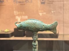 -烟台市博物馆