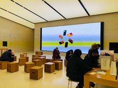 -Apple零售店(苏州店)