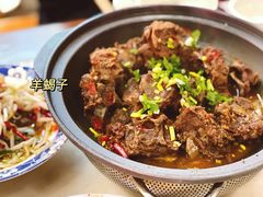 羊蝎子-七百岁羊肉馆(环球港店)