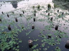 -阳澄湖半岛旅游度假区