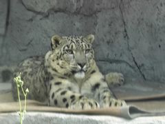 -青藏高原野生动物园