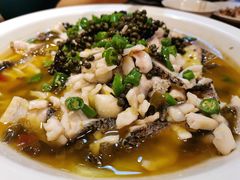 藤椒鱼-三猫黑鱼花(南大店)