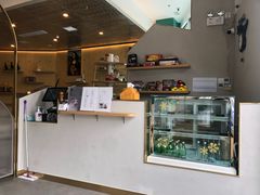 -飞行喵MR PILOT|猫舍·猫咖(静安大融城店)