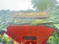 -上海大自然野生昆虫馆(东方明珠·爬宠昆虫探索中心)