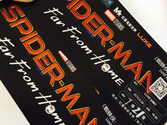 -红星电影世界上海张江绿地店