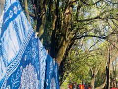 -蓝壁虎咖啡酒馆