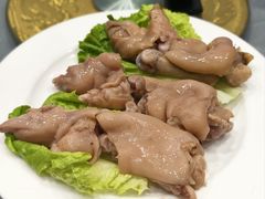 -丁老爷子苏香圆